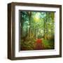 Sunday Morning Walk-Dirk Wuestenhagen-Framed Art Print