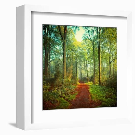 Sunday Morning Walk-Dirk Wuestenhagen-Framed Art Print