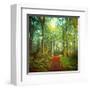 Sunday Morning Walk-Dirk Wuestenhagen-Framed Art Print