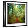 Sunday Morning Walk-Dirk Wuestenhagen-Framed Art Print