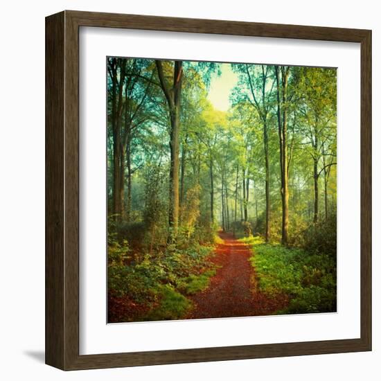 Sunday Morning Walk-Dirk Wuestenhagen-Framed Art Print