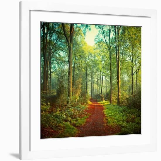 Sunday Morning Walk-Dirk Wuestenhagen-Framed Art Print