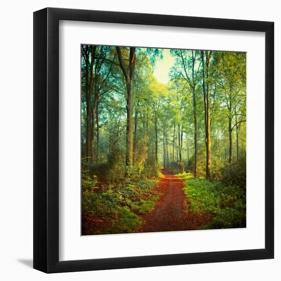 Sunday Morning Walk-Dirk Wuestenhagen-Framed Art Print