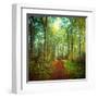 Sunday Morning Walk-Dirk Wuestenhagen-Framed Art Print