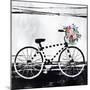 Sunday Ride III-Joshua Schicker-Mounted Giclee Print