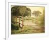 Sunday Stroll-Sylvia Coomes-Framed Photographic Print