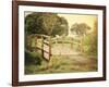 Sunday Stroll-Sylvia Coomes-Framed Photographic Print