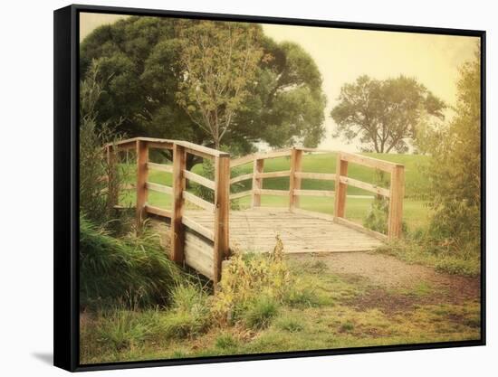 Sunday Stroll-Sylvia Coomes-Framed Stretched Canvas