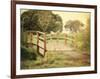 Sunday Stroll-Sylvia Coomes-Framed Photographic Print