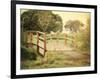 Sunday Stroll-Sylvia Coomes-Framed Photographic Print