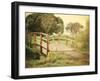 Sunday Stroll-Sylvia Coomes-Framed Photographic Print