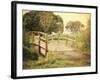 Sunday Stroll-Sylvia Coomes-Framed Photographic Print