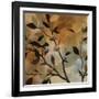 Sundown Bronze I-Irene Pascal-Framed Art Print