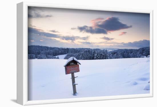 Sundown close Furtwangen in winter, Black Forest, Baden-Wurttemberg, Germany-Markus Lange-Framed Photographic Print