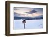 Sundown close Furtwangen in winter, Black Forest, Baden-Wurttemberg, Germany-Markus Lange-Framed Photographic Print