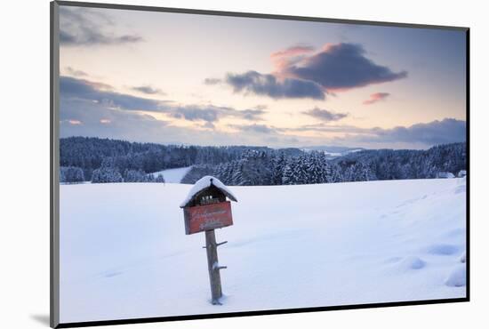 Sundown close Furtwangen in winter, Black Forest, Baden-Wurttemberg, Germany-Markus Lange-Mounted Photographic Print