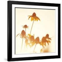 Sundown Flowers-Mandy Lynne-Framed Art Print