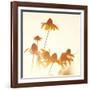 Sundown Flowers-Mandy Lynne-Framed Art Print