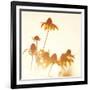 Sundown Flowers-Mandy Lynne-Framed Art Print