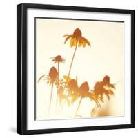 Sundown Flowers-Mandy Lynne-Framed Art Print