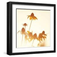 Sundown Flowers-Mandy Lynne-Framed Art Print