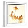 Sundown Flowers-Mandy Lynne-Framed Art Print