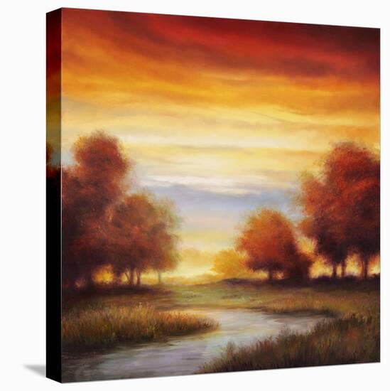 Sundown I-Gregory Williams-Stretched Canvas