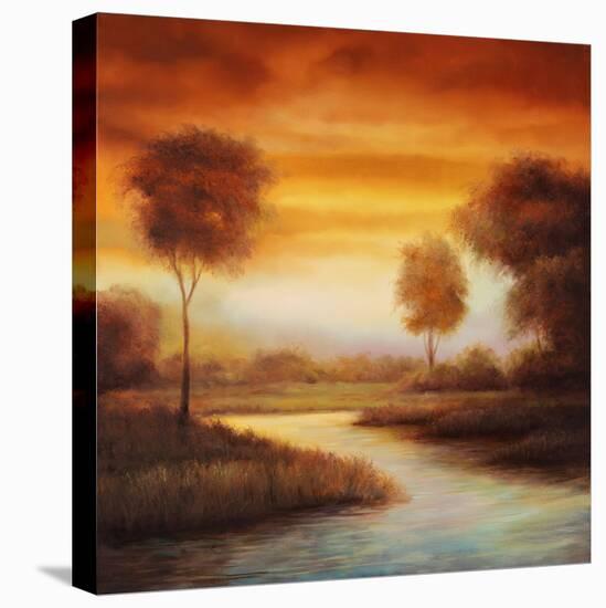 Sundown II-Gregory Williams-Stretched Canvas