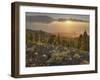 Sundown Las Manchas, Parque Natural Cumbre Vieja, Island La Palma, Canary Islands, Spain-Rainer Mirau-Framed Photographic Print