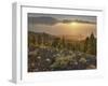 Sundown Las Manchas, Parque Natural Cumbre Vieja, Island La Palma, Canary Islands, Spain-Rainer Mirau-Framed Photographic Print