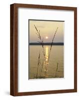 Sundown, Lelång Lake, Dalsland, Sweden-Andrea Lang-Framed Photographic Print