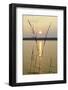 Sundown, Lelång Lake, Dalsland, Sweden-Andrea Lang-Framed Photographic Print