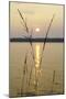 Sundown, Lelång Lake, Dalsland, Sweden-Andrea Lang-Mounted Photographic Print