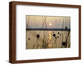 Sundown, Lelång Lake, Dalsland, Sweden-Andrea Lang-Framed Photographic Print