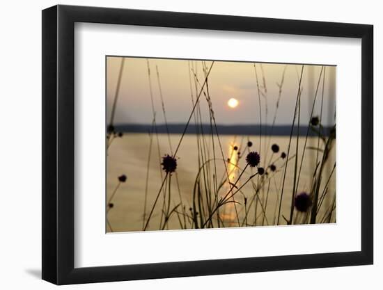 Sundown, Lelång Lake, Dalsland, Sweden-Andrea Lang-Framed Photographic Print