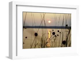 Sundown, Lelång Lake, Dalsland, Sweden-Andrea Lang-Framed Photographic Print