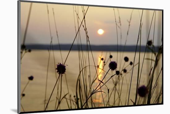 Sundown, Lelång Lake, Dalsland, Sweden-Andrea Lang-Mounted Photographic Print