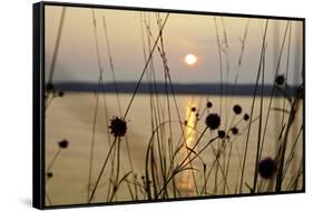 Sundown, Lelång Lake, Dalsland, Sweden-Andrea Lang-Framed Stretched Canvas