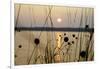 Sundown, Lelång Lake, Dalsland, Sweden-Andrea Lang-Framed Photographic Print