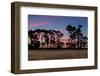 Sundown Old Pine Trees-rghenry-Framed Photographic Print