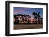 Sundown Old Pine Trees-rghenry-Framed Photographic Print