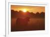 Sundown-Staffan Widstrand-Framed Giclee Print