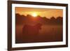 Sundown-Staffan Widstrand-Framed Giclee Print