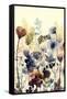 Sundry Blossoms I-Grace Popp-Framed Stretched Canvas