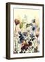 Sundry Blossoms I-Grace Popp-Framed Art Print