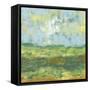 Sunfield II-Jennifer Goldberger-Framed Stretched Canvas