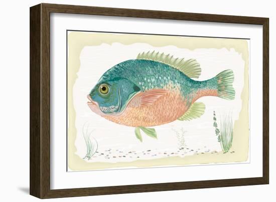 Sunfish on Retro Style Background-Milovelen-Framed Art Print