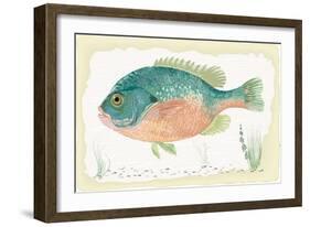 Sunfish on Retro Style Background-Milovelen-Framed Art Print