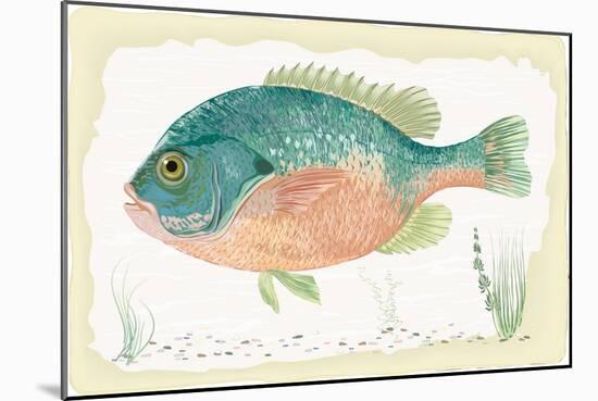 Sunfish on Retro Style Background-Milovelen-Mounted Art Print