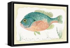 Sunfish on Retro Style Background-Milovelen-Framed Stretched Canvas